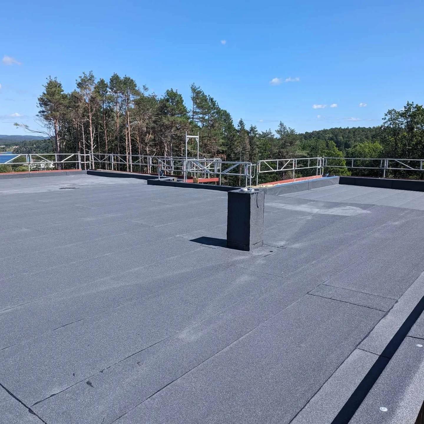 Flatt tak med grå membran, furuskog og blå himmel
