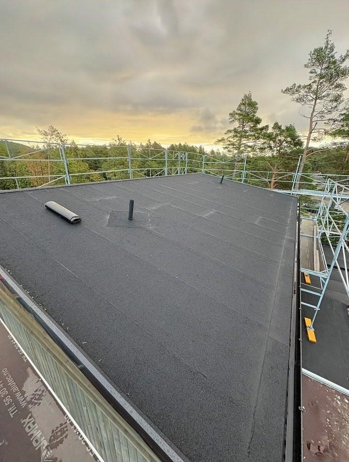 Flatt tak i kveldssol, med skog rundt