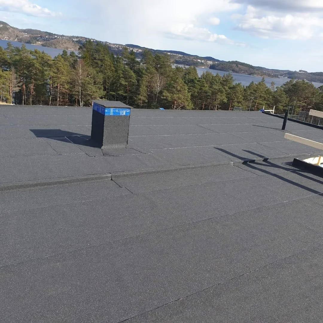Flatt tak med utsikt over skog og fjord